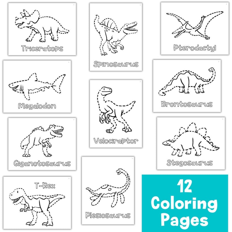 May include: A set of 12 colouring pages featuring dinosaurs and other prehistoric creatures. The pages are black and white with dotted lines for tracing.