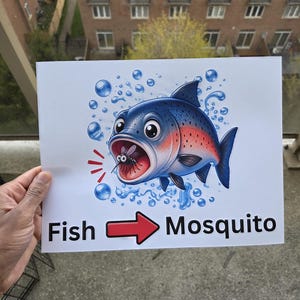 Pode incluir: Ilustra&ccedil;&atilde;o de desenho animado de um peixe azul com detalhes vermelhos, comendo um mosquito. A imagem inclui o texto "Fish -> Mosquito" com uma seta vermelha. Bolhas cercam o peixe.