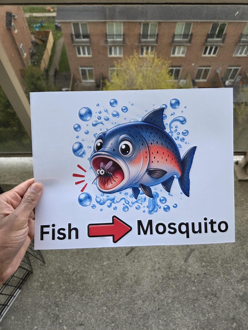 Pode incluir: Ilustra&ccedil;&atilde;o de desenho animado de um peixe azul com detalhes vermelhos, comendo um mosquito. A imagem inclui o texto "Fish -> Mosquito" com uma seta vermelha. Bolhas cercam o peixe.