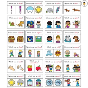 24 preguntas de WH / Tarjetas de tareas sobre funciones / ¿Cuál? / Terapia del habla / ABA / Categoría / Autismo / Tarjetas didácticas para niños / Opción múltiple