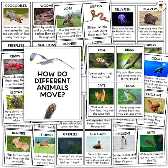 Animal Locomotion | How Animals Move | Growth and Changes in Animals | Animal Flashcards | Science Flashcards | STEM | Animal Habitats