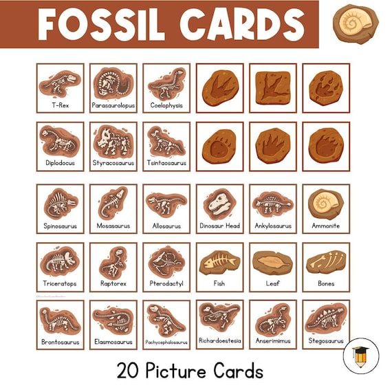 30 FOSSIL CARDS | Dinosaur | Bulletin Board | Prehistoric | Ancient | Fossils | Picture Cards| Flashcards | Memory Matching | Museum