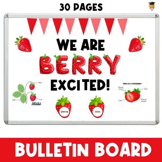 STRAWBERRY Bulletin Board | Summer Theme | Visual Schedule | Display Board | Daycare Decor | Preschool Printable | Classroom Poster | Fruit