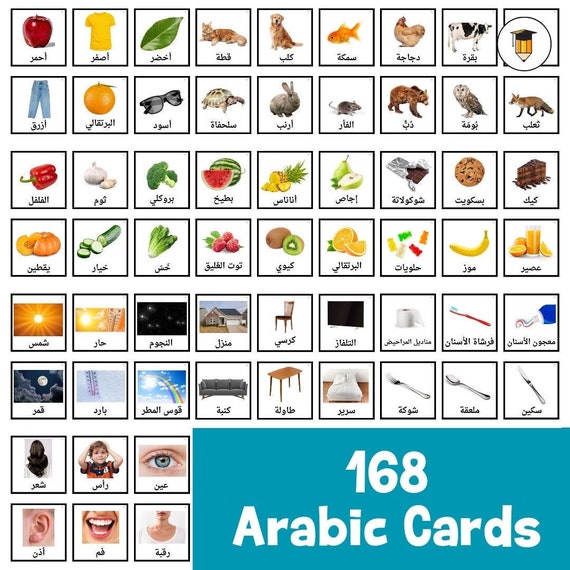 168 Arabic Flashcards | Arabic Alphabet Letters | Arabic Picture Card | Printables | ESL | Real Pictures
