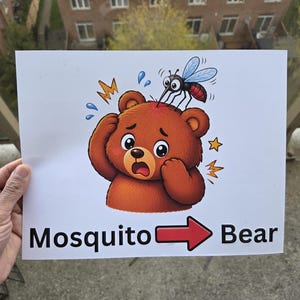 Pode incluir: Uma placa branca com uma ilustra&ccedil;&atilde;o de desenho animado de um urso marrom sendo picado por um mosquito. O urso tem uma express&atilde;o surpresa, com as palavras "Mosquito Bear" e uma seta apontando para o urso.