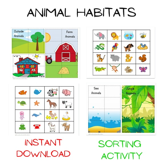 Animal Sorting Activity, Animal Activities, Busy Book, Homeschool, Preschool, Toddler, Sorting Games, Animal Habitats, Worksheets for kids