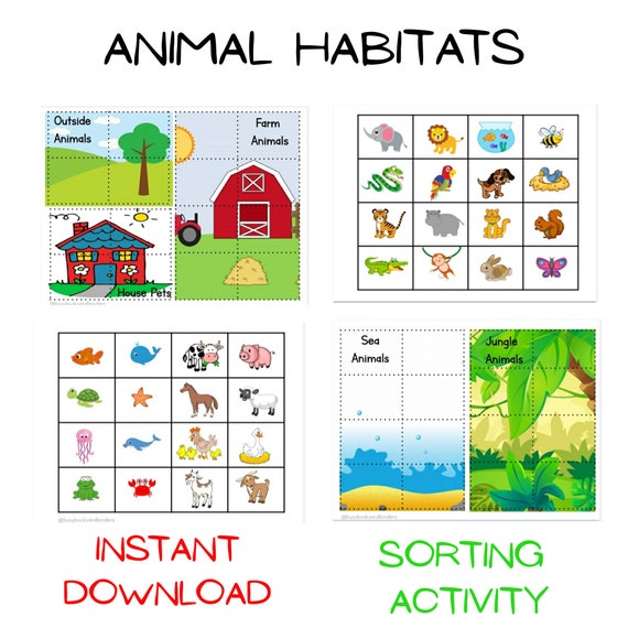 Animal Sorting Activity, Animal Activities, Busy Book, Homeschool, Preschool, Toddler, Sorting Games, Animal Habitats, Worksheets for kids