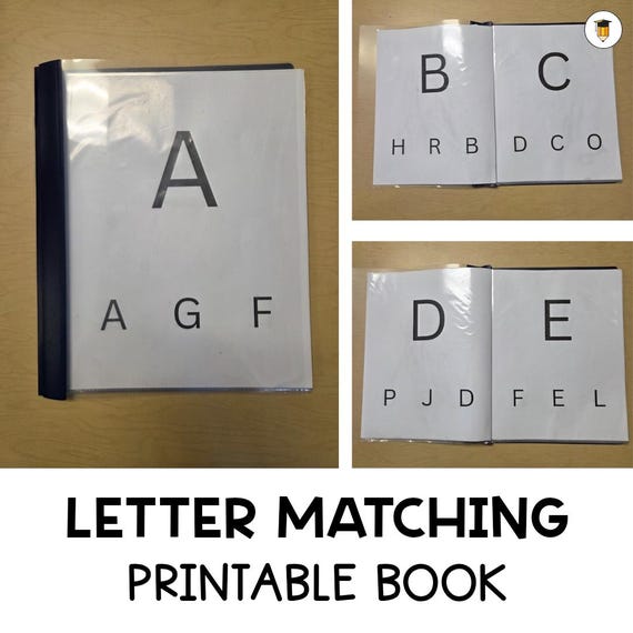 Printable Book: Needs | Sorting | File Folder Games | Morning Work | Preschool Busy Book | Toddler | Morning Work | Autism | Independence