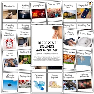 May include: Educational flashcards featuring various sounds, including a meowing cat, rumbling thunder, and a wailing siren. The cards are designed to help students identify common environmental sounds. The text on the card reads "Different Sounds Around Me."