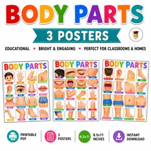 May include: Three educational posters titled "BODY PARTS" with colorful text. Each poster features labeled illustrations of human body parts, including the head, eye, nose, mouth, and more. The posters are 8.5x11 inches.