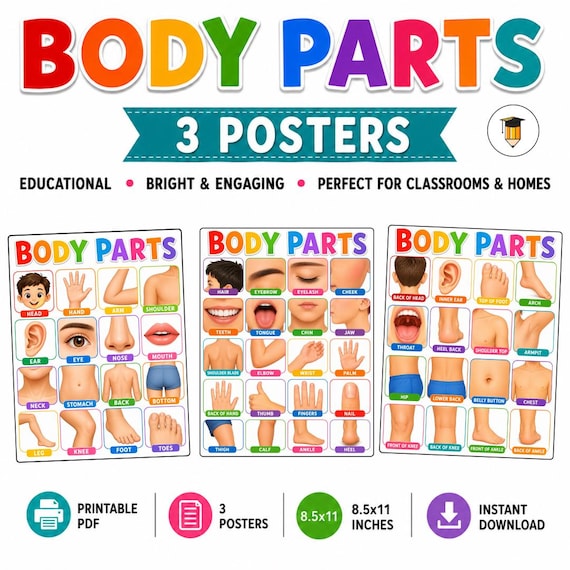 Body Parts Poster | What Hurts? | Child Pain Chart | Visual Aid | Non Verbal | Toddler Chart | Communication | Special Needs | Printable |