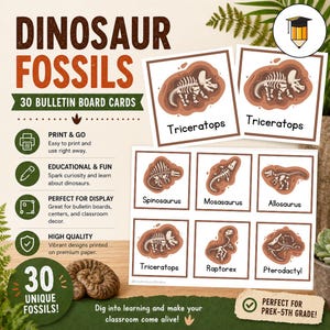 30 FOSSILKORT | Dinosaurier | Anslagstavla | Förhistorisk | Forntida | Fossiler | Bildkort | Flashcards | Minnesmatchning | Museum