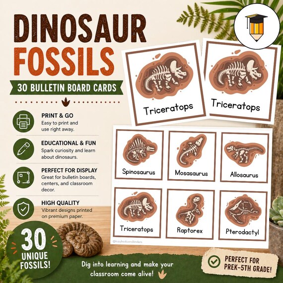 30 FOSSIL CARDS | Dinosaur | Bulletin Board | Prehistoric | Ancient | Fossils | Picture Cards| Flashcards | Memory Matching | Museum