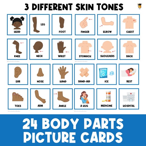 24 BODY PARTS | Picture Cards | First Then  | Visual Schedule | Toddler | Behavior Chart | Task Card | Special Needs | Autism | Health |