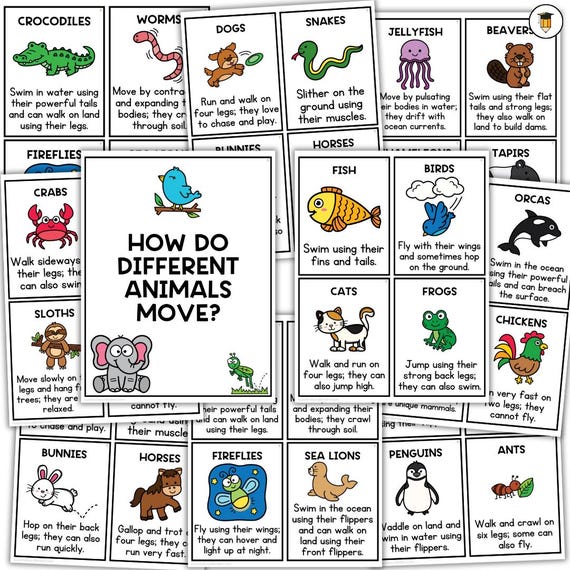 Animal Locomotion | How Animals Move | Growth and Changes in Animals | Animal Flashcards | Science Flashcards | STEM | Animal Habitats