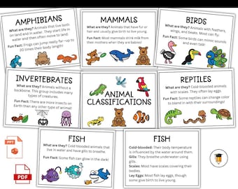 Animal Classification:  Habitats | Animal Sorting  | Animal Activities | Living Things | Basic Needs | Animals Groups | Kids Science