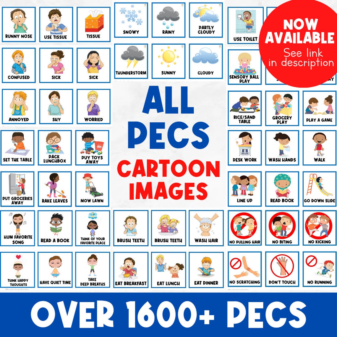 55 PICTURE CARDS | Class Schedule | First Then Board | Visual Aid ...