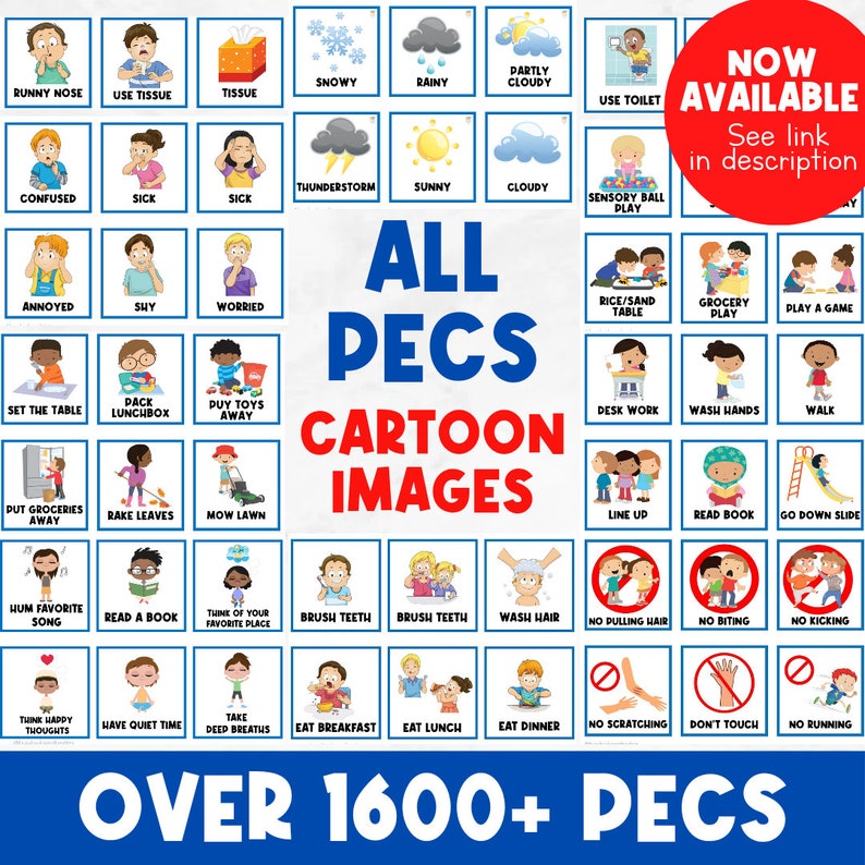 55 PICTURE CARDS | Class Schedule | First Then Board | Visual Aid ...