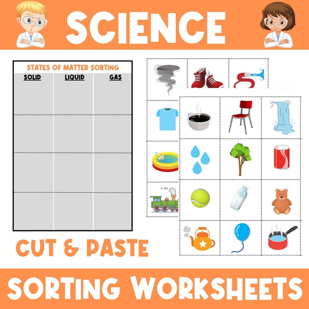 science sorting worksheets kindergarten grade one etsy