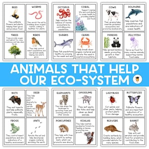 30 ANIMAL FACTS | Flashcards | Farm Animals | Zoo Animals | Wildlife Animals | Animal Activities | Preschool | Kindergarten | Cards |Animals