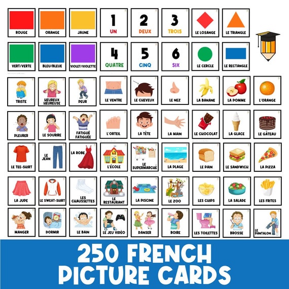 250 FRENCH | Picture Cards | First Then Board | Visual Aid |  Schedule | Toddler Behaviour | Task Card | Special Needs | Autism