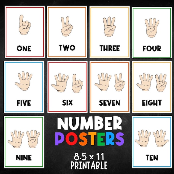 Numbers Poster Classroom | Color  | Sorting Activities | Math | Preschool Busy Book | Toddler | Homeschool | Download