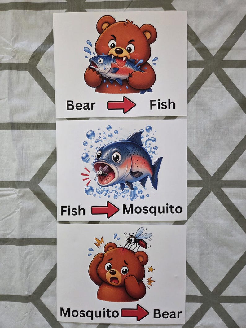 Pode incluir: Tr&ecirc;s cart&otilde;es ilustrados que retratam uma cadeia alimentar. Um urso marrom come um peixe, um peixe come um mosquito e um mosquito pica um urso. Texto: "Urso", "Peixe", "Mosquito".