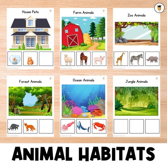 Animal Habitats | Animal Sorting Activity, Animal Activities, Busy Book, Homeschool, Preschool, Toddler, Sorting Games, Worksheets for kids