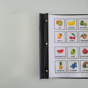LIVRE : 100 IMAGES ALIMENTAIRES | Choix alimentaires | Aide visuelle | Tableau de choix | Carte de tâche | Autisme | D'abord, ensuite | Livre d'images culinaires | Démence