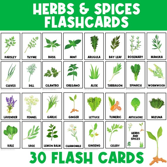 Herbs Plants Flashcards | Nature Study | Spring Activities | Science | Preschool Worksheets | Montessori Printable | Nomenclature | Leaves