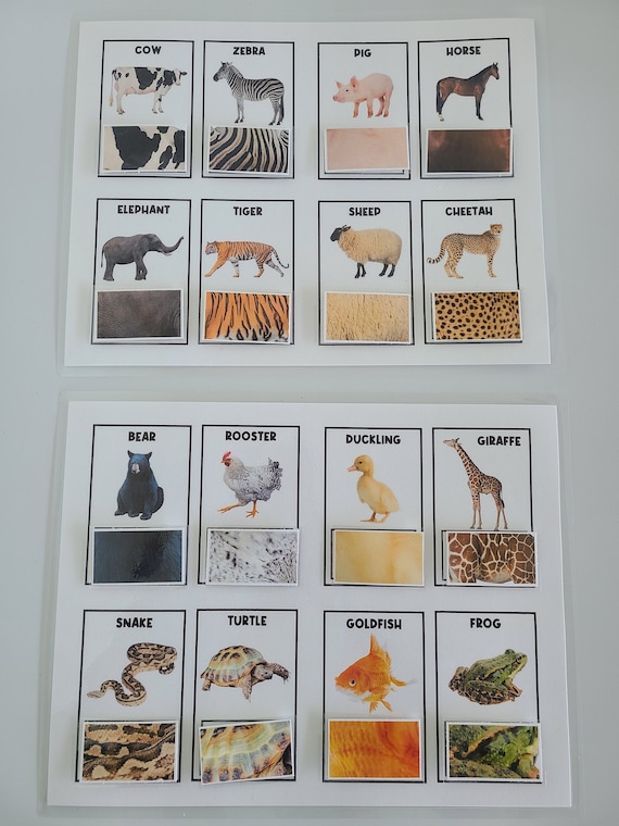 PHYSICAL COPY: Animal Print | Matching Sorting Activity | Animal Activities | Busy Book | Homeschool | Preschool | Toddler | Sorting Games