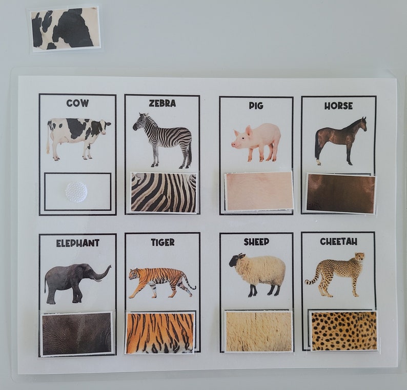 PHYSICAL COPY: Animal Print | Matching Sorting Activity | Animal ...