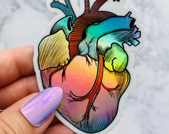Anatomical Heart Sticker, Holographic Heart Sticker, Anatomy Sticker, Heart Sticker, Holographic Sticker, Laptop Sticker, Nurse Sticker