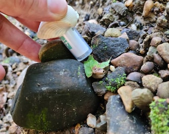 Evil Seashell Micro Geocaching Container