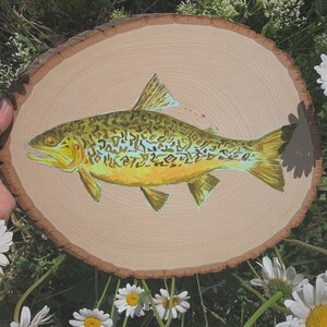 custom fish painting, acrylic on wood