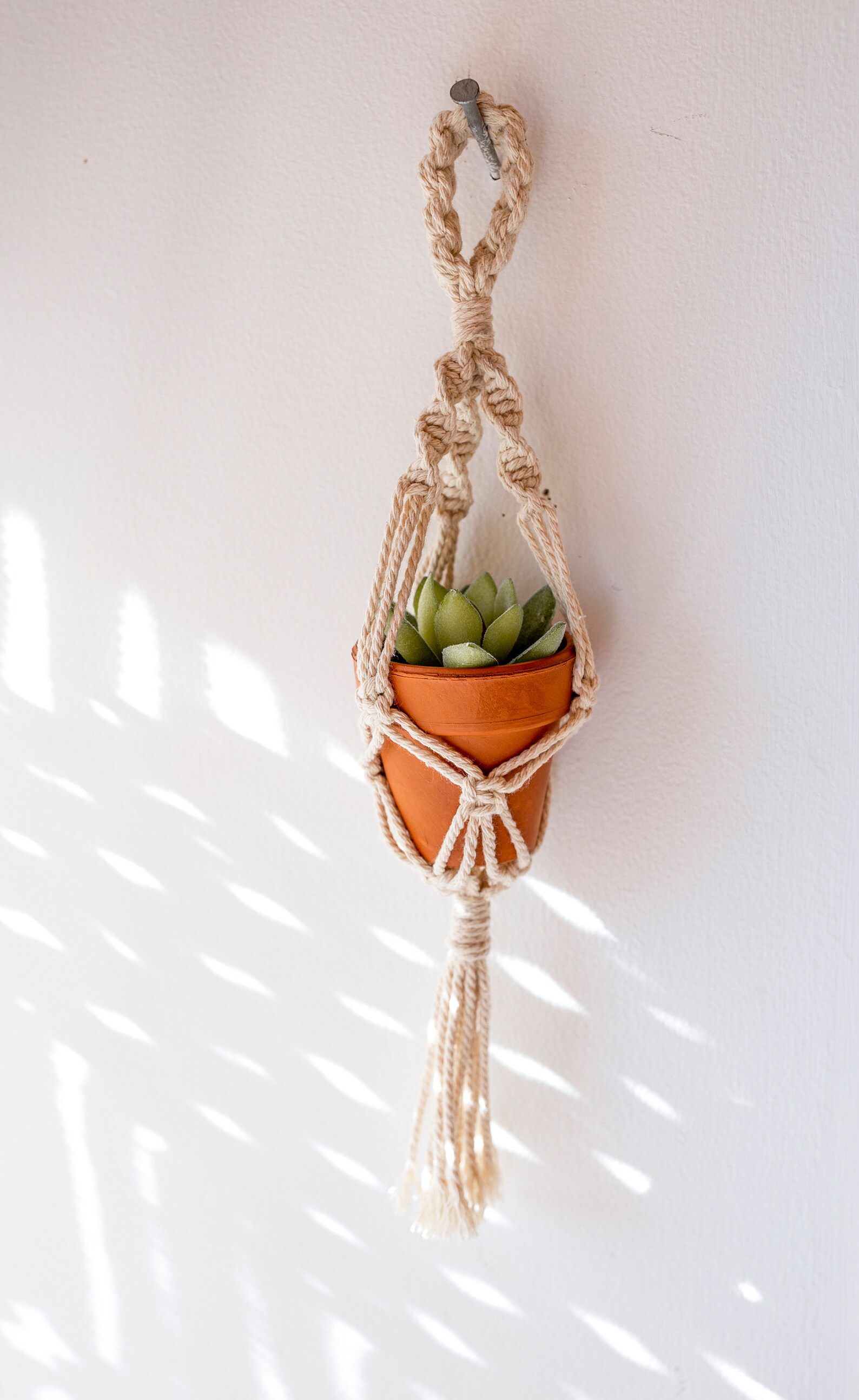 Mini Plant Hanger Rear view Mirror Hanger Office Decor Etsy