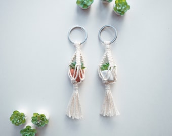 Mini Plant Hanger, Plant keychain, plant hanger keychain, macrame keychain, succulent, bag charm, plant lover gift ideas, plant lover