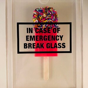 Resin Popsicle, Sprinkle Popsicle, In Case of Emergency Break Glass, Acrylic Shadow Box, Resin Pop Art, Food Pop Art, Ice Cream Art image 6