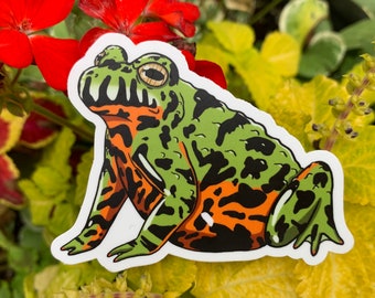 fire belly toad price