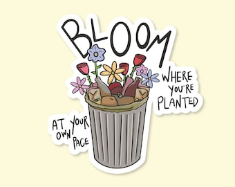 Bloom Where You're Planted Sticker: Funny Waterproof Vinyl Decal