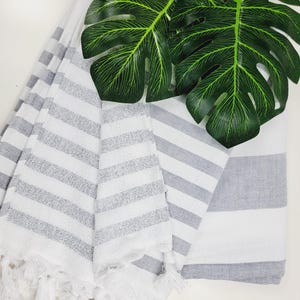 Charter club washcloths hotsell