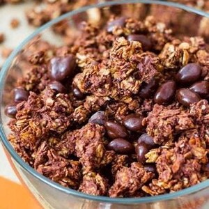 May include: A glass bowl filled with chocolate granola and chocolate chips. The granola is a dark brown color and the chocolate chips are a light brown color.