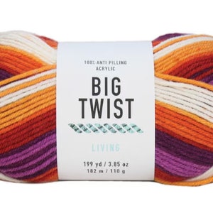 May include: A ball of Big Twist Living yarn in a multi-colored stripe pattern. The yarn is 100% anti-pilling acrylic and comes in a 199 yard / 3.85 ounce skein.
