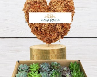 DIY Succulent Heart Topiary