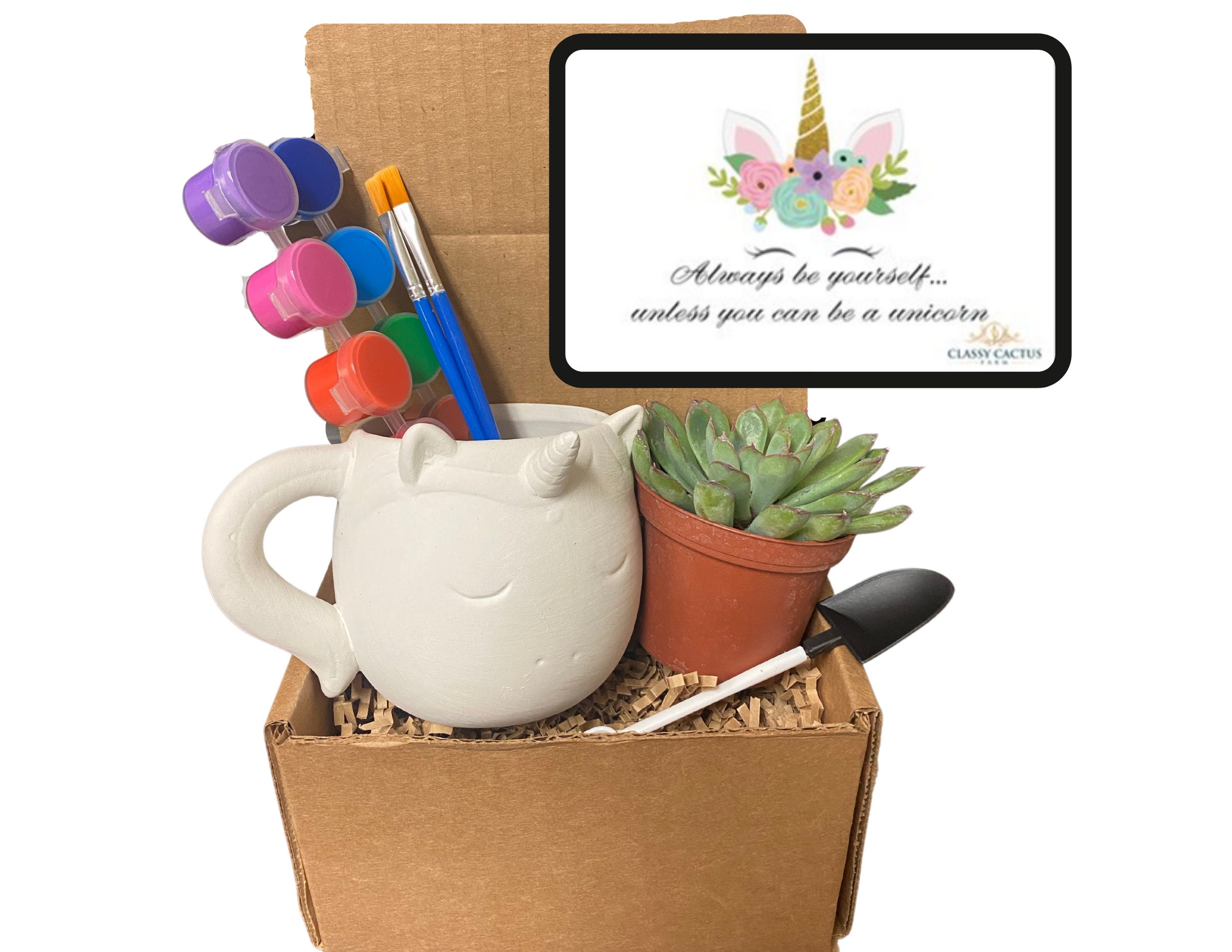 Unicorn Succulent Gift Box - Be Yourself Unicorn
