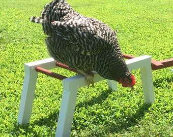Amish Made Monkey Bars for Chickens