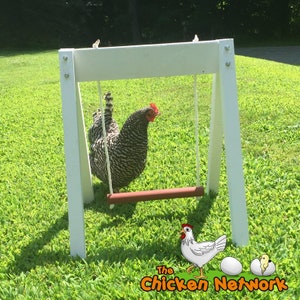 Amish Made Chicken Swing