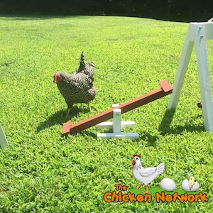 Amish Made Chicken Teeter Totter / SeeSaw