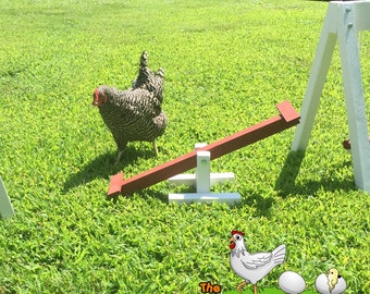 May include: A black and white chicken stands on a grassy lawn near a red and white seesaw. The seesaw is attached to a white wooden structure. The text "The Chicken Network" is visible in the lower right corner of the image.