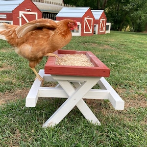 Amish ChickNic Table - A Picnic Table for Chickens